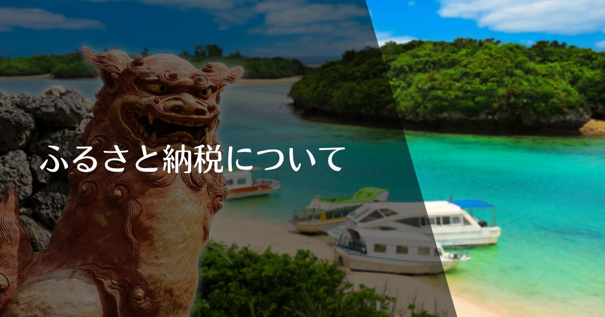 石垣市・ウエットスーツのふるさと納税について